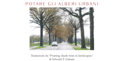 Scarica il pdf di Potare gli alberi urbani